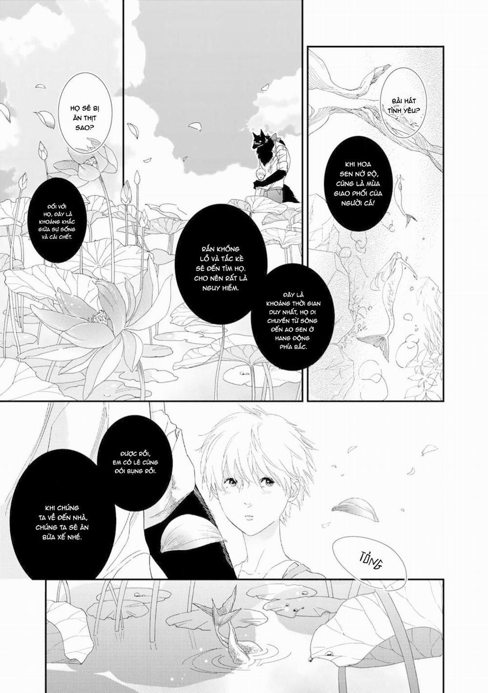 Ngài Sói, Không ăn Em à? 2 trang 29