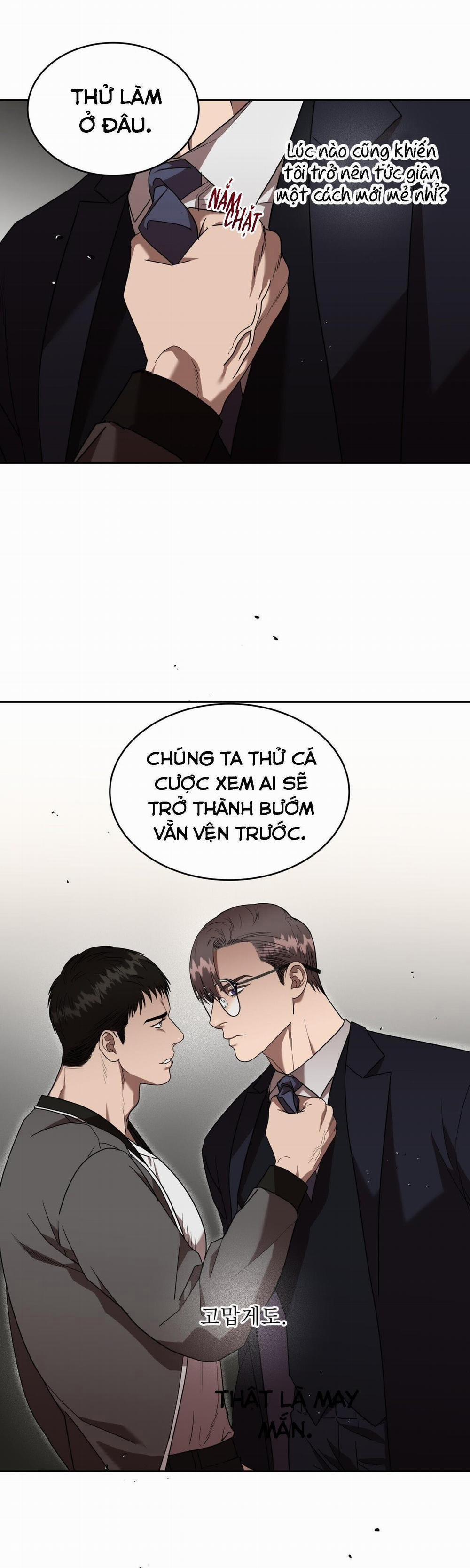 Ngang Tài Ngang Sức 21 trang 43