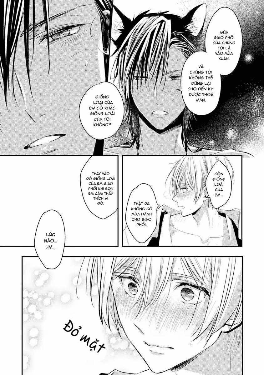 Ngay Cả Tengu Cũng Phải Lòng! 3 trang 22