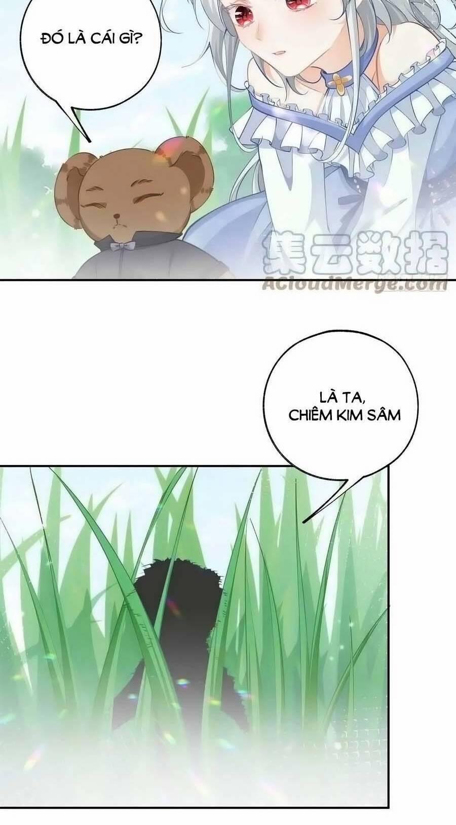 Ngày Nào Đó Trở Thành Công Chúa Tế Phẩm 137 trang 6