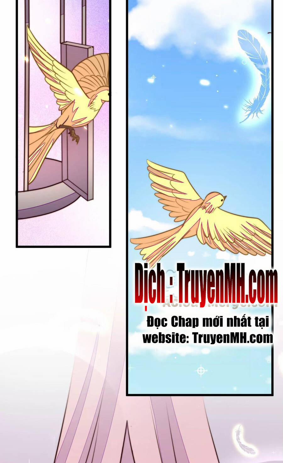 Ngày Nào Thiếu Soái Cũng Ghen 622 trang 17