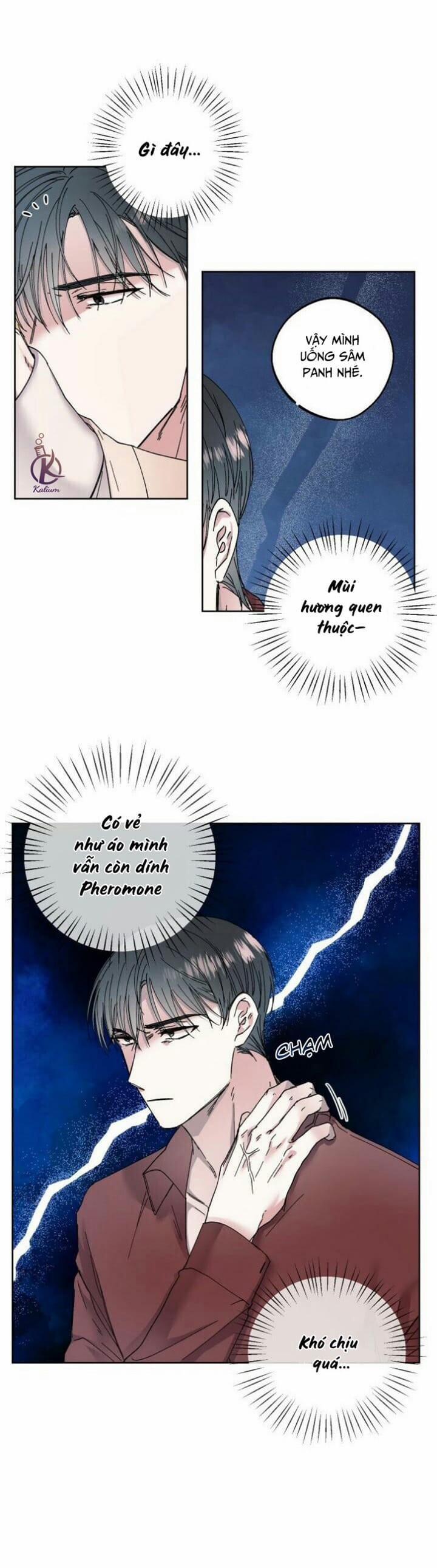 Ngày Trăng Không Rạng 4 trang 12