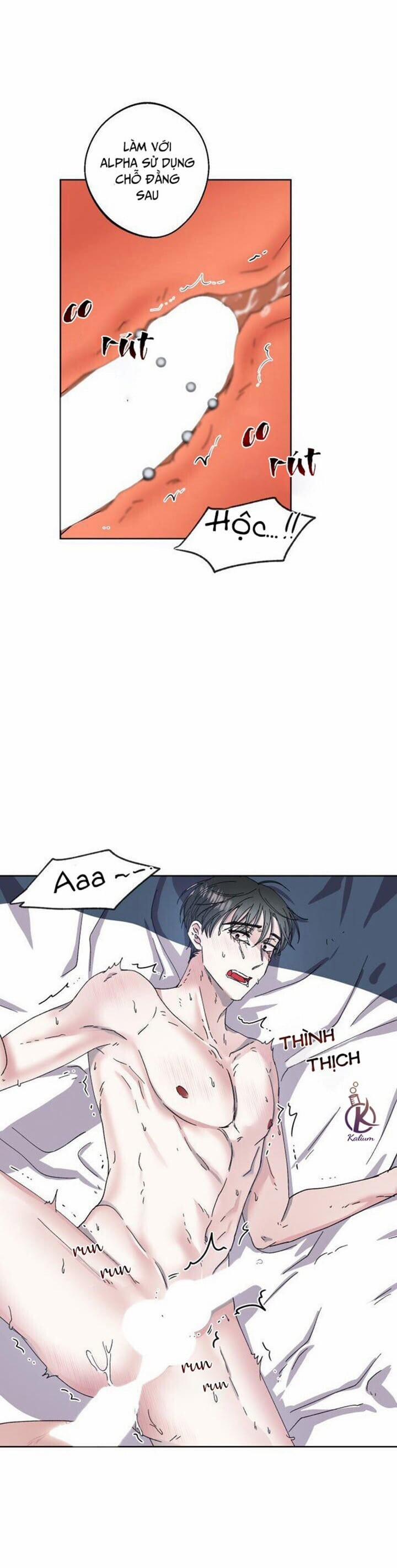 Ngày Trăng Không Rạng 5 trang 13