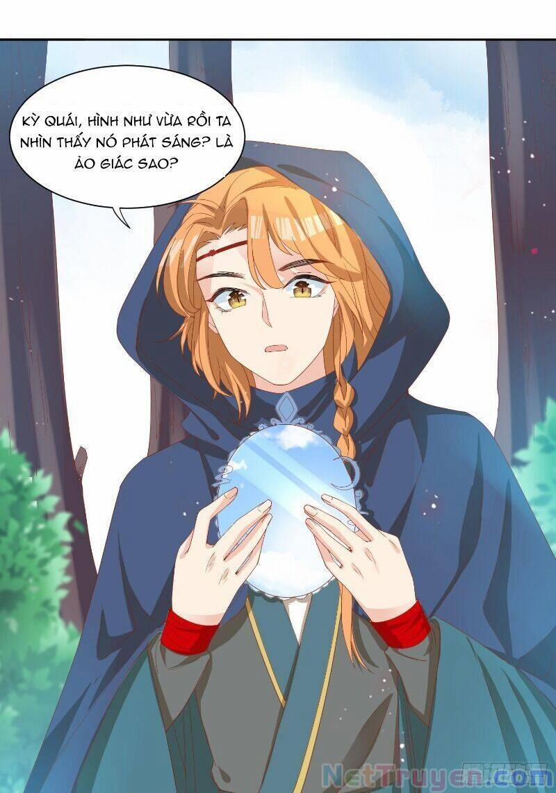 Nghe Nói Ta Là Lão Tổ Hợp Hoan 41 trang 5