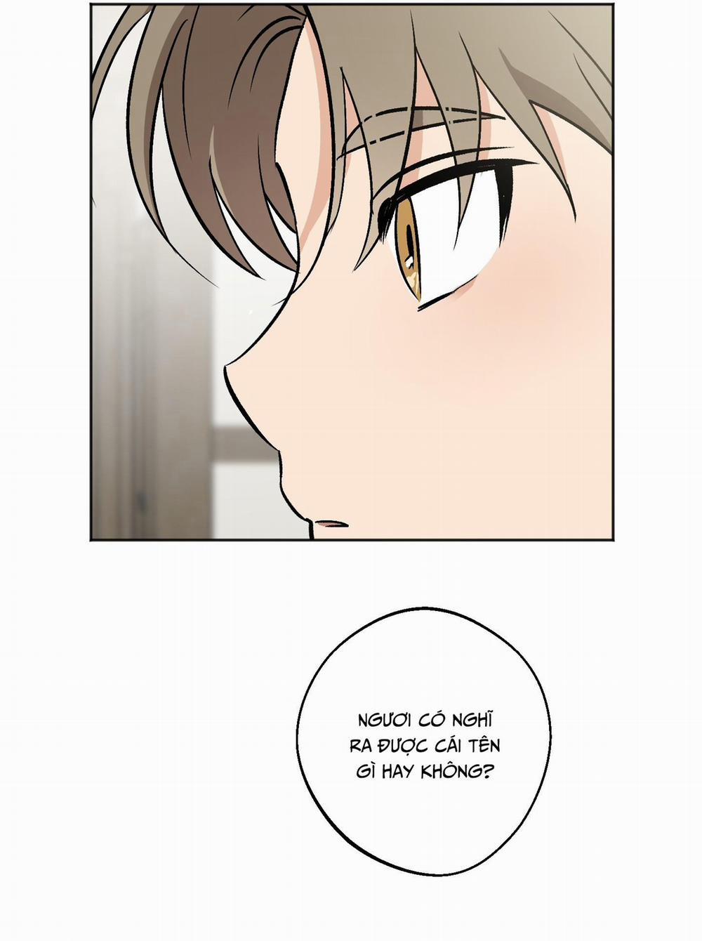 Nghi thức cầu nguyện 8 trang 6