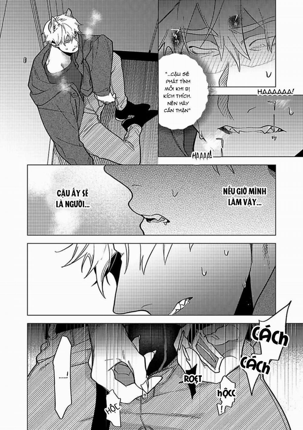 Nghiền Nát Tôi Và Dạy Tôi Về Tình Yêu 2 trang 11