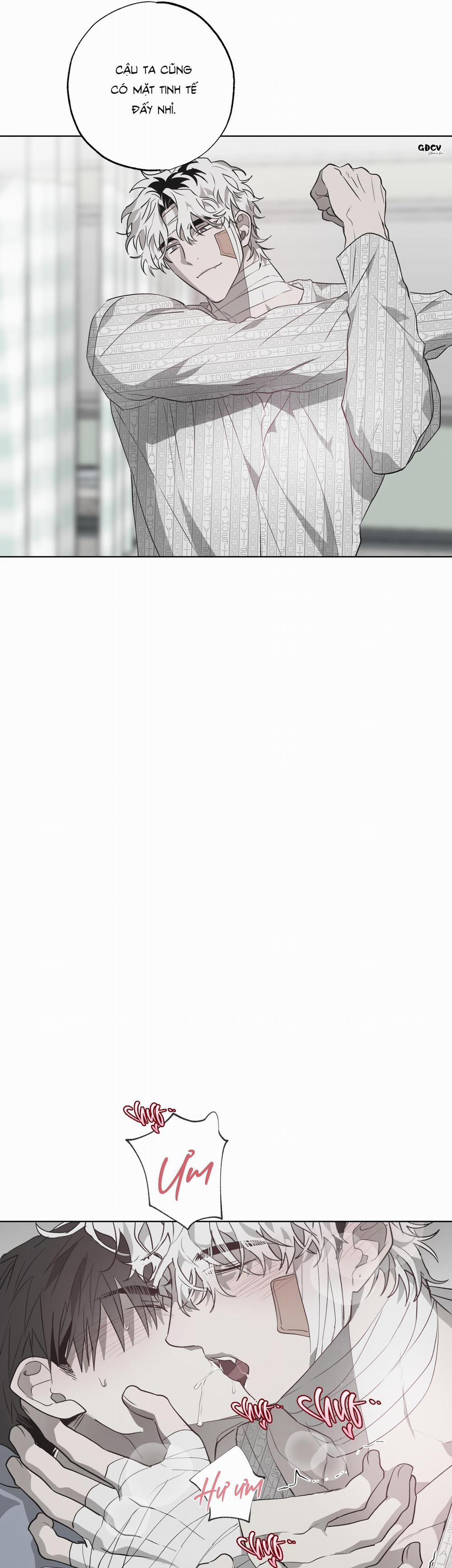 Ngôi Nhà Dị Thường 11 trang 25