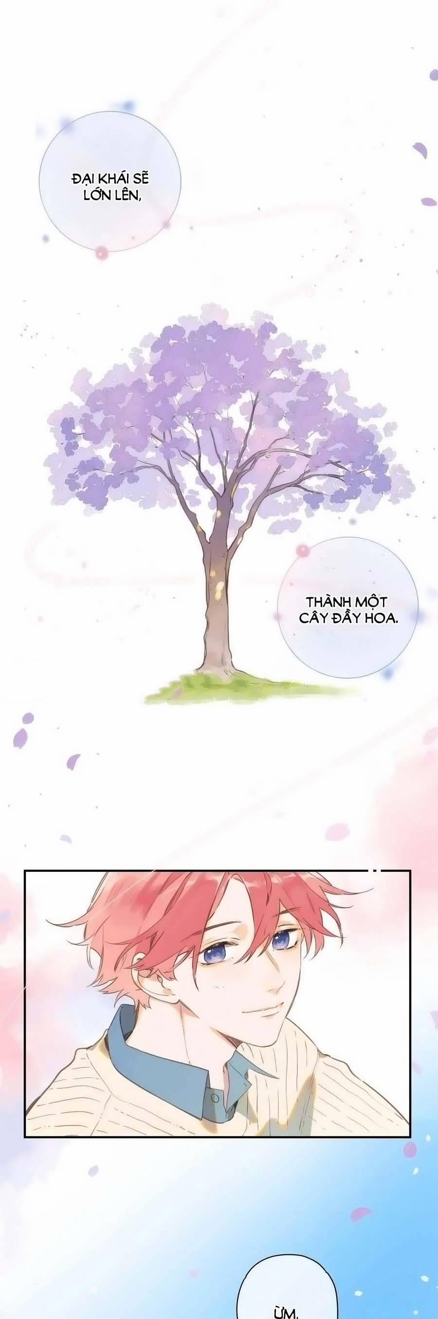 Ngôi Nhà Hướng Dương 73 trang 19