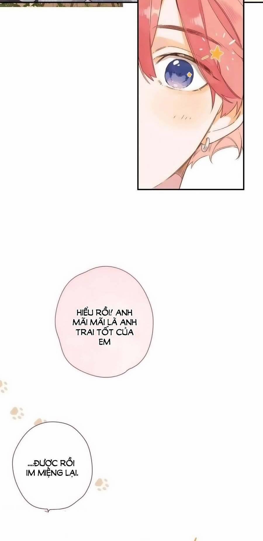 Ngôi Nhà Hướng Dương 73 trang 4