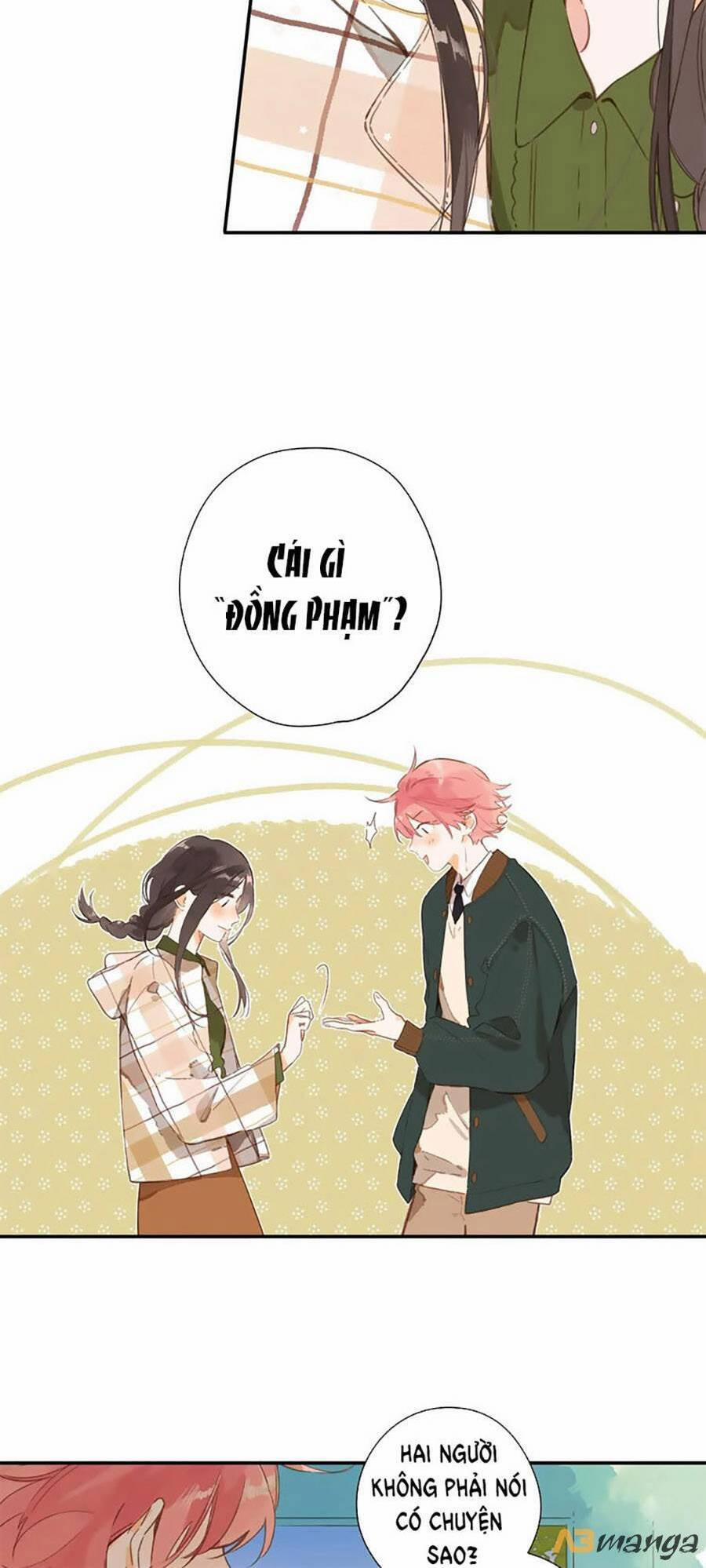 Ngôi Nhà Hướng Dương 75 trang 11