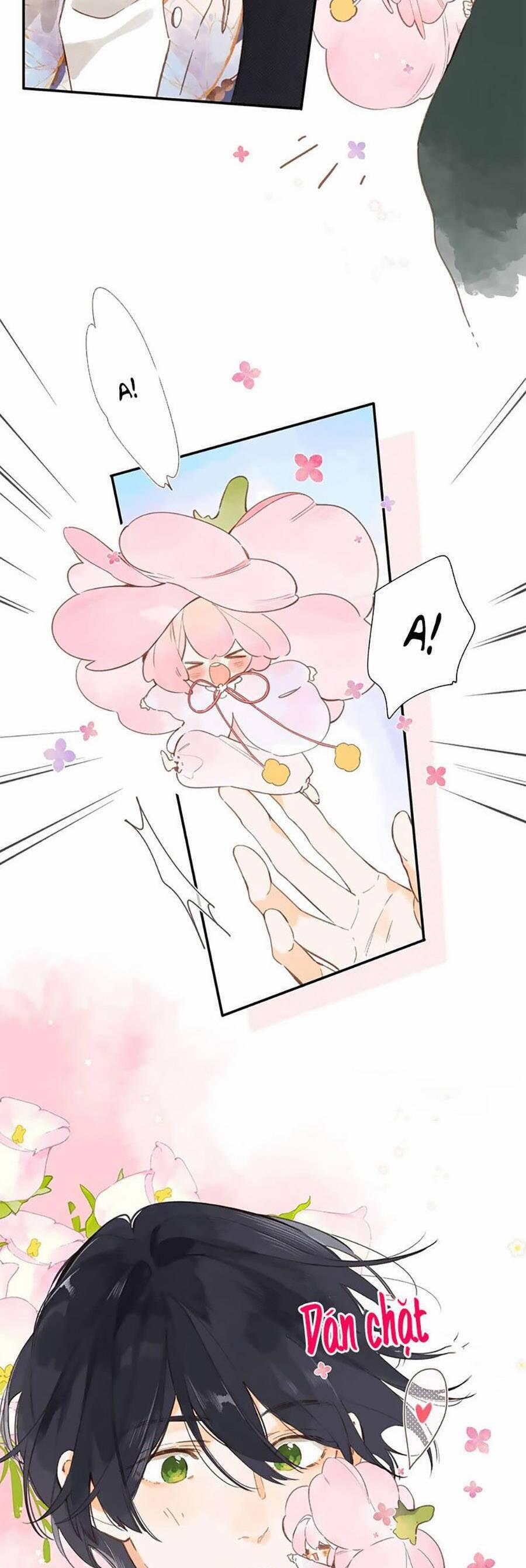 Ngôi Nhà Hướng Dương 75 trang 13