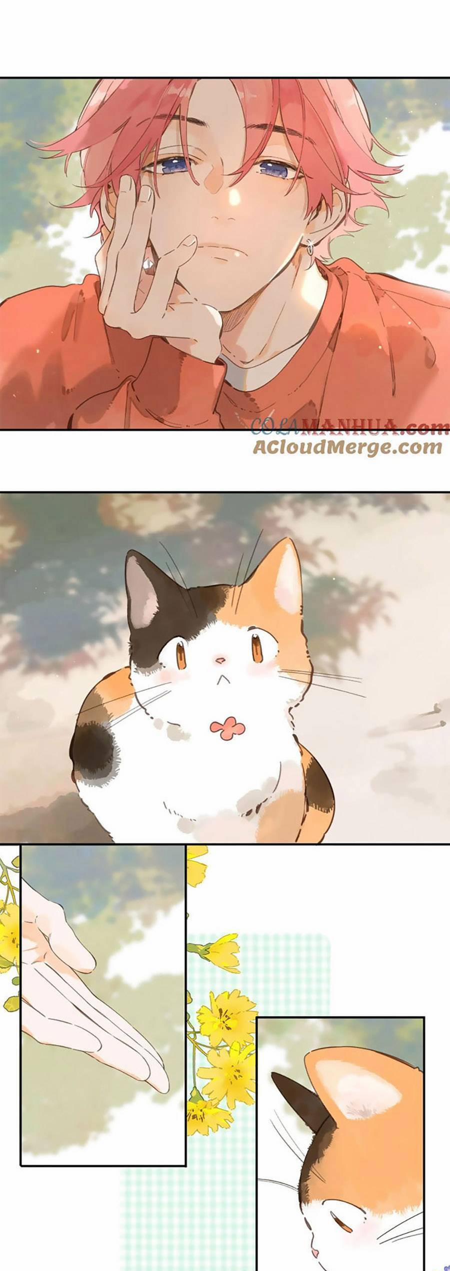 Ngôi Nhà Hướng Dương 76 trang 1