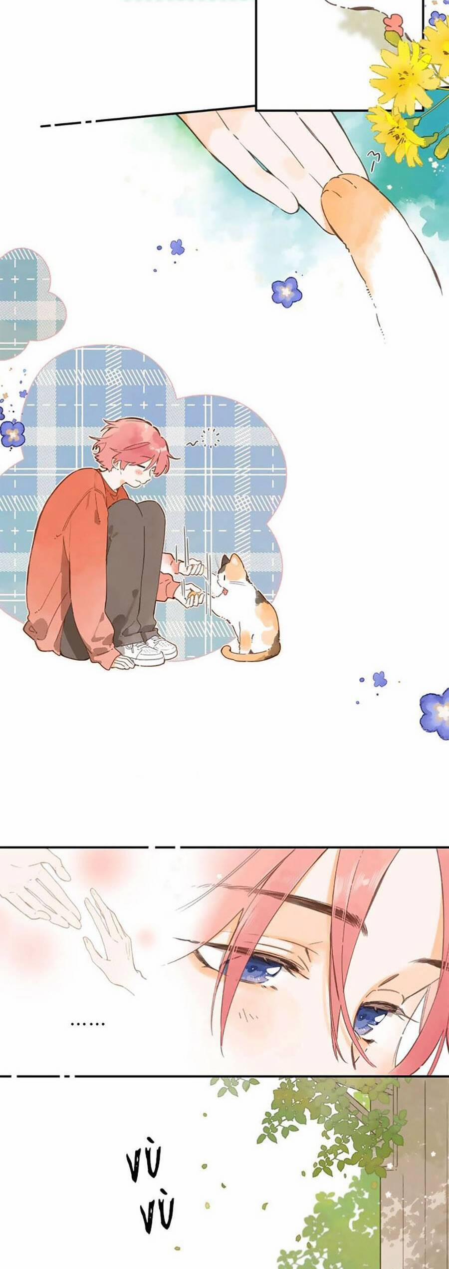 Ngôi Nhà Hướng Dương 76 trang 2