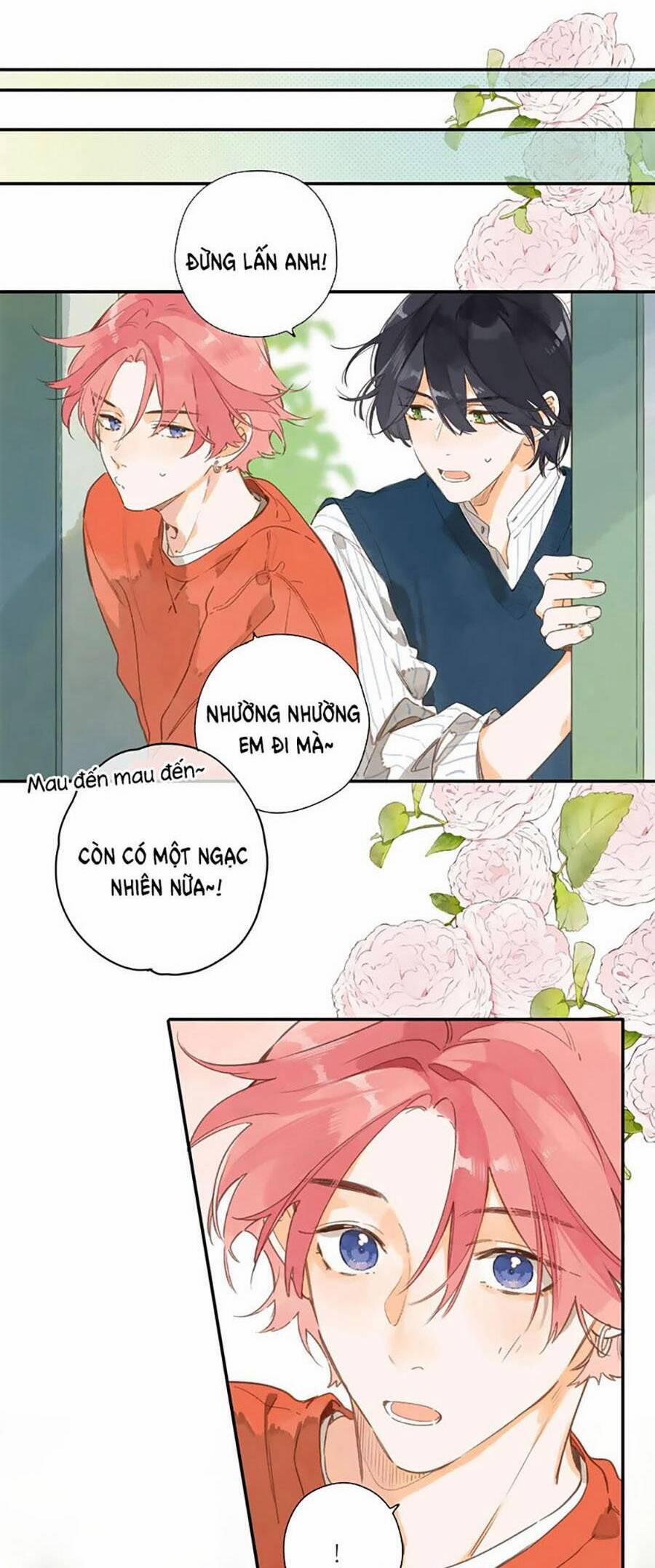 Ngôi Nhà Hướng Dương 76 trang 20