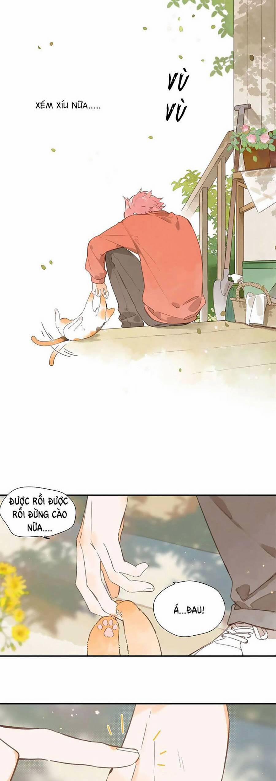 Ngôi Nhà Hướng Dương 76 trang 3