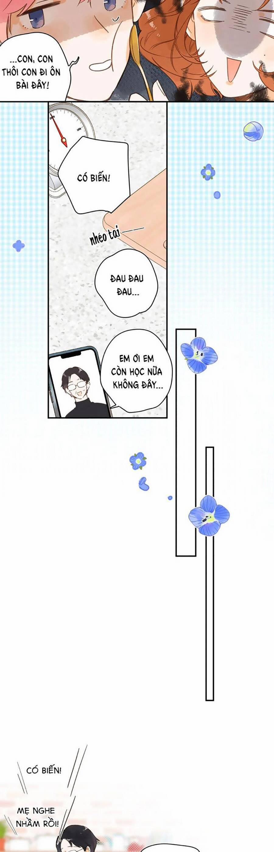 Ngôi Nhà Hướng Dương 78 trang 21