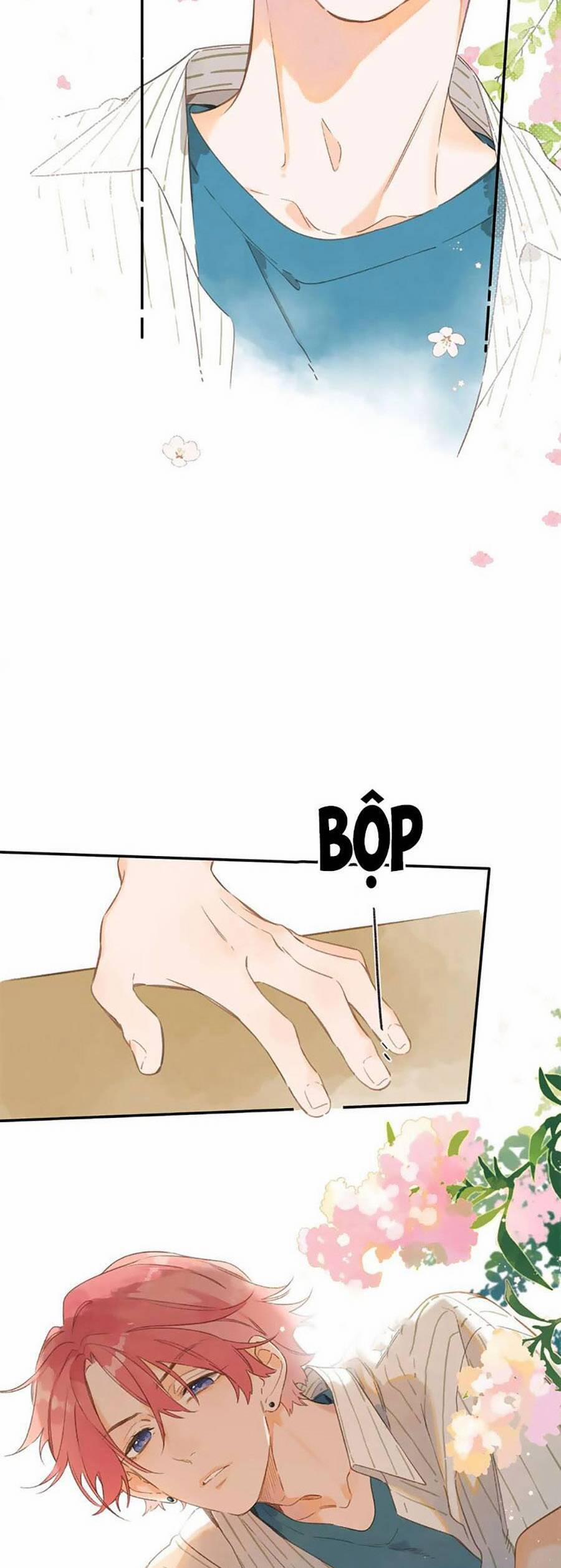 Ngôi Nhà Hướng Dương 79 trang 18