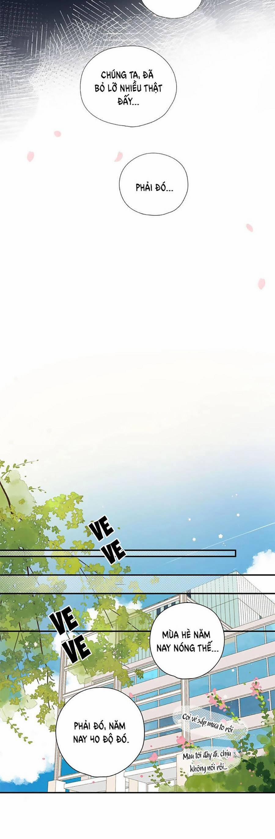 Ngôi Nhà Hướng Dương 79 trang 2