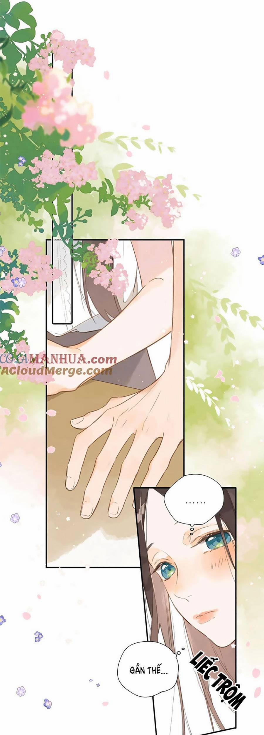 Ngôi Nhà Hướng Dương 79 trang 20