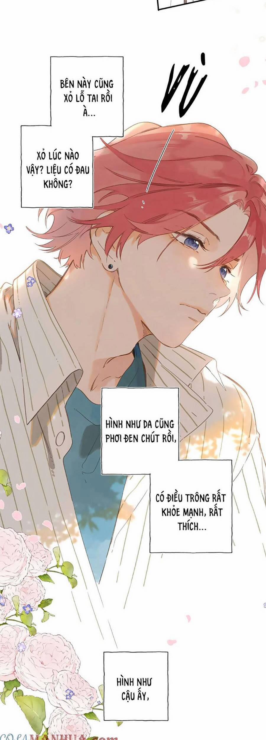 Ngôi Nhà Hướng Dương 79 trang 21