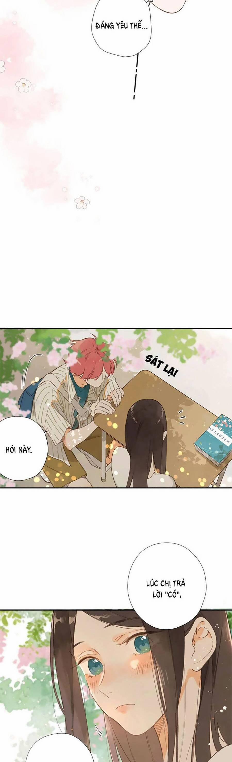 Ngôi Nhà Hướng Dương 79 trang 24