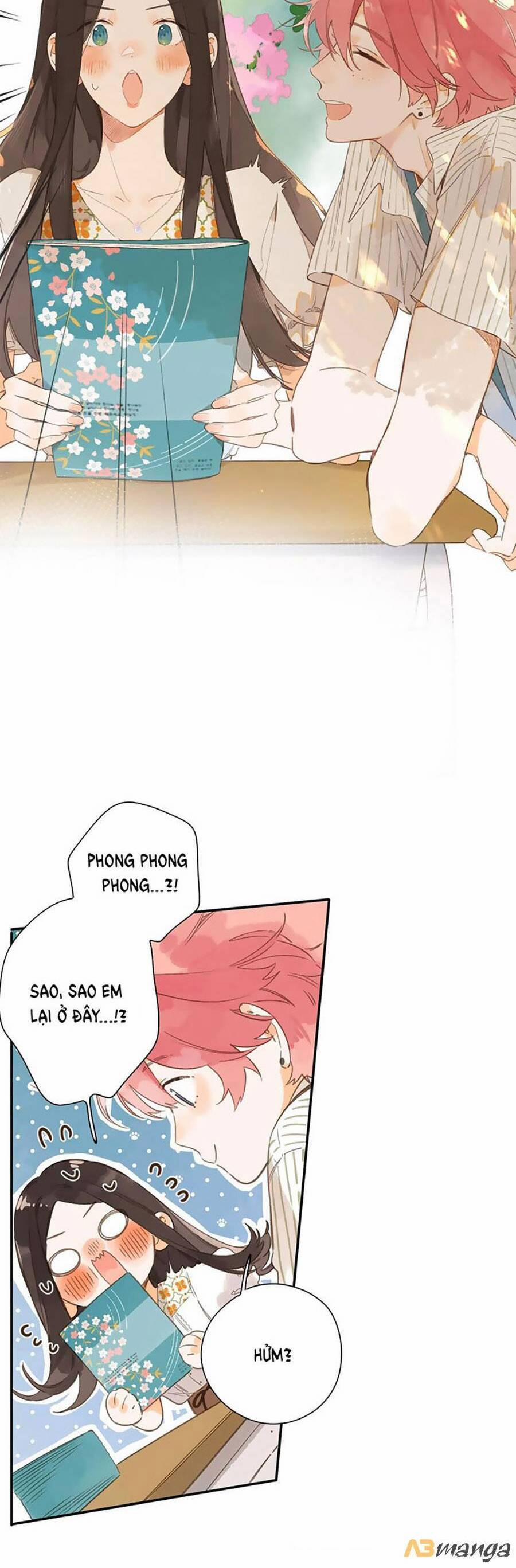 Ngôi Nhà Hướng Dương 79 trang 4