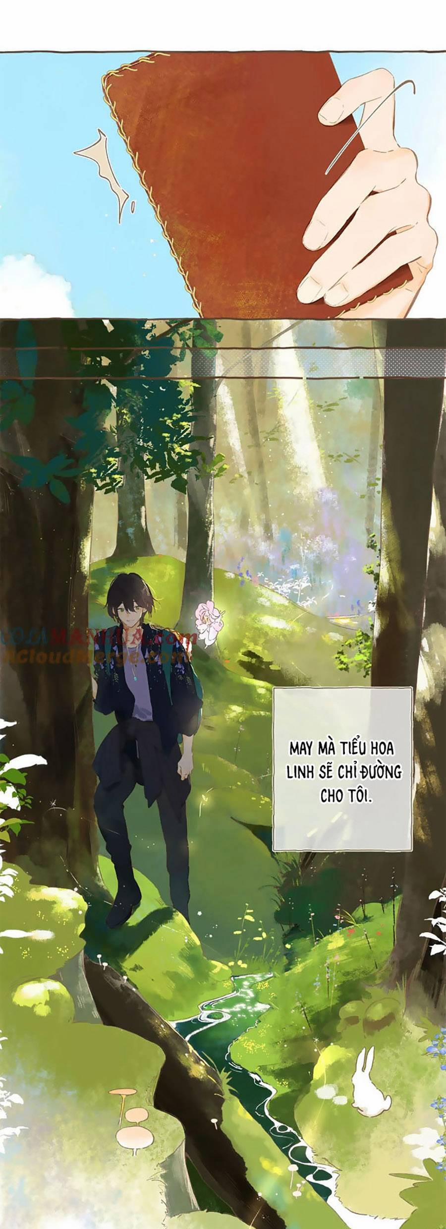 Ngôi Nhà Hướng Dương 80 trang 15