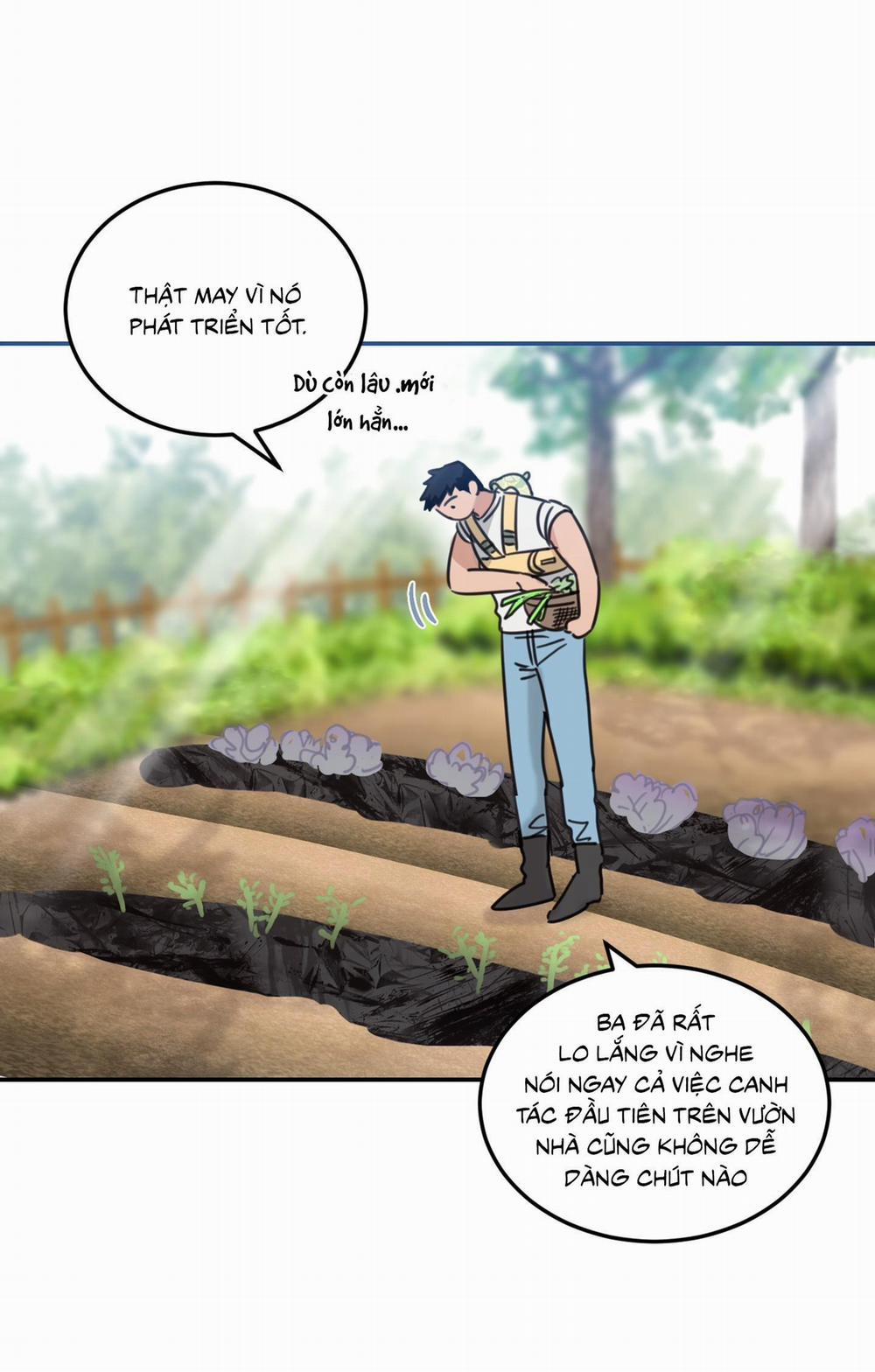 NGÔI NHÀ HƯỚNG MẶT TRỜI MỌC 34 trang 7