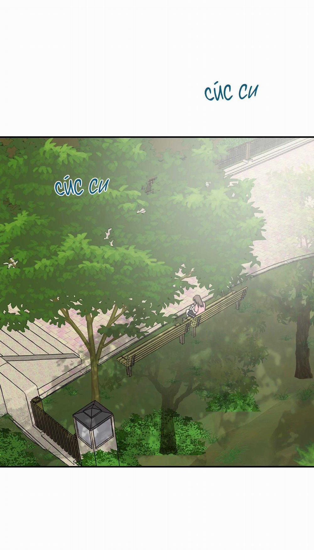 NGÔI NHÀ HƯỚNG MẶT TRỜI MỌC 38 trang 16