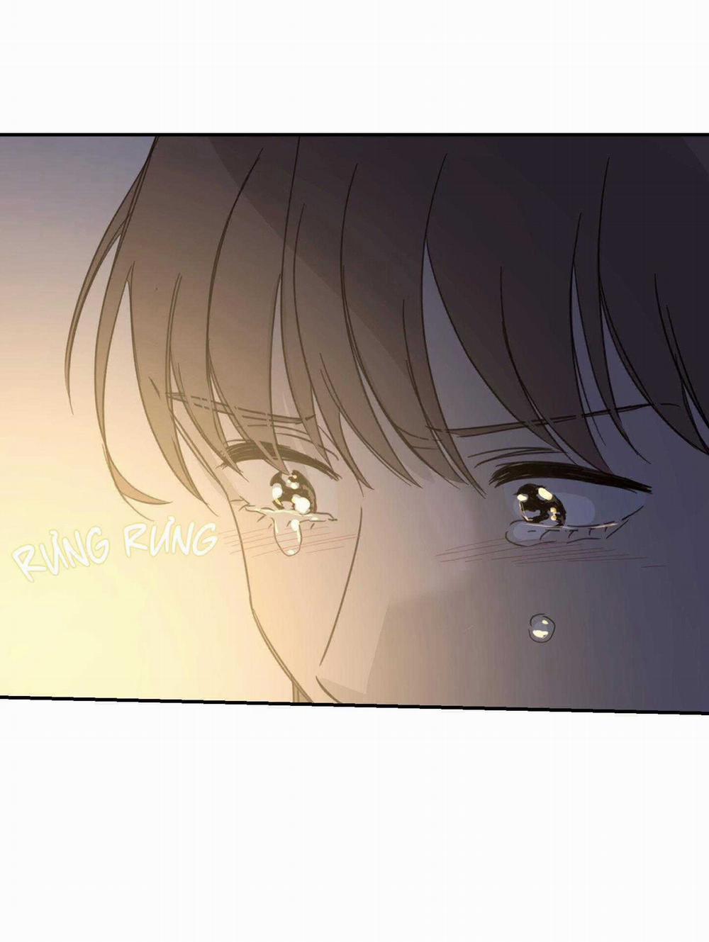 NGÔI NHÀ HƯỚNG MẶT TRỜI MỌC 38 trang 63