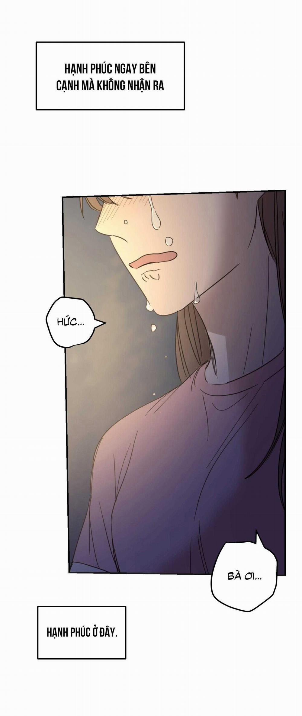 NGÔI NHÀ HƯỚNG MẶT TRỜI MỌC 38 trang 67