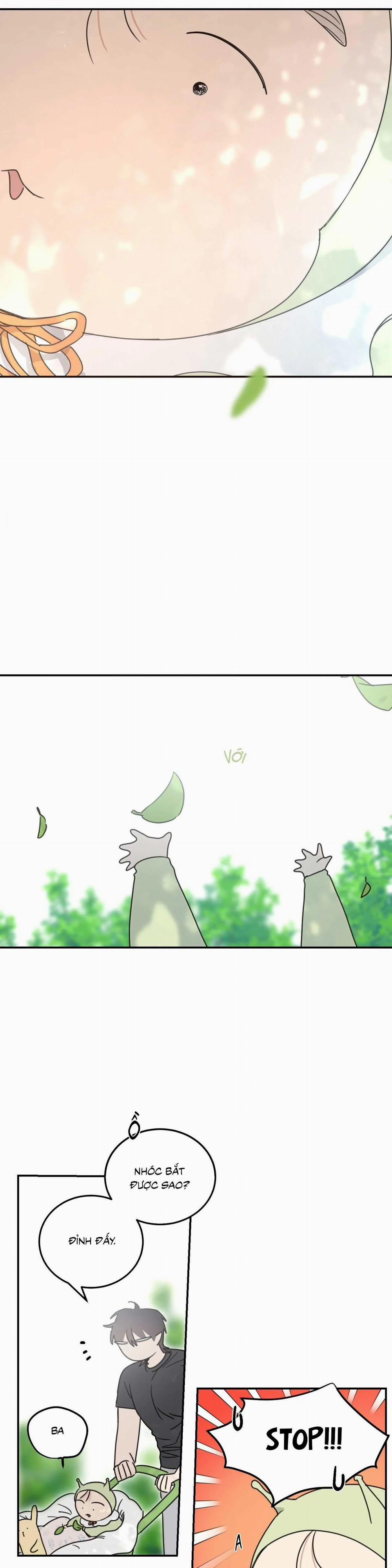 NGÔI NHÀ HƯỚNG MẶT TRỜI MỌC 40 trang 16