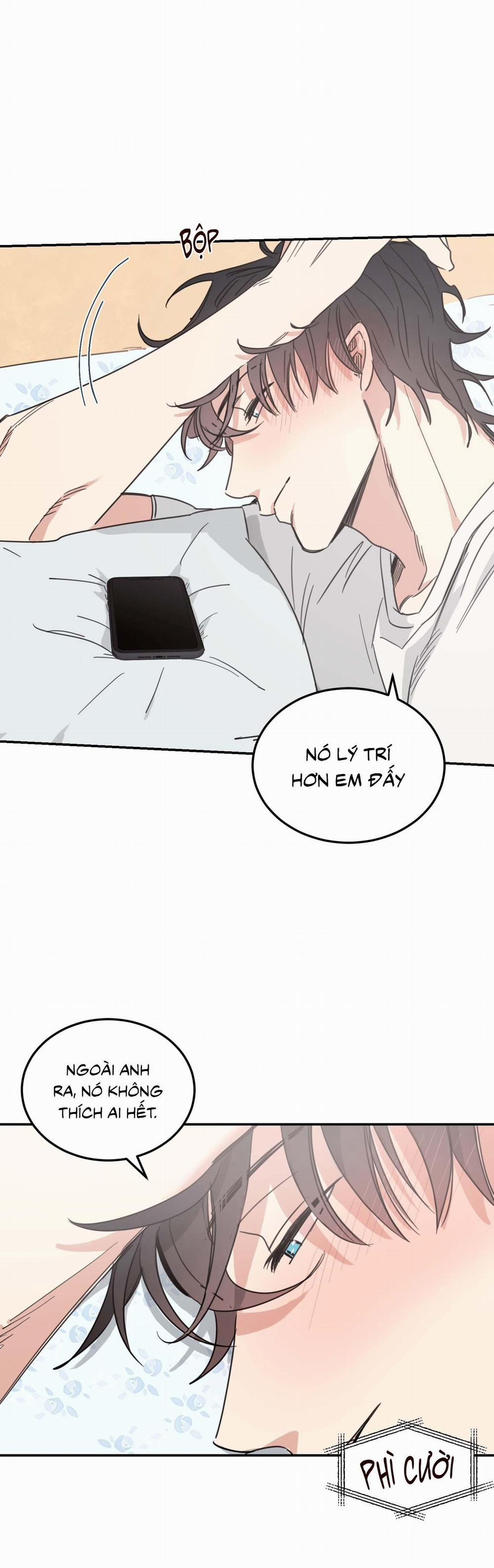 NGÔI NHÀ HƯỚNG MẶT TRỜI MỌC 43 trang 12