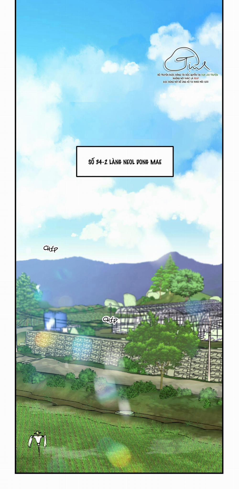 Ngôi Nhà Mặt Trời Mọc 1 trang 0