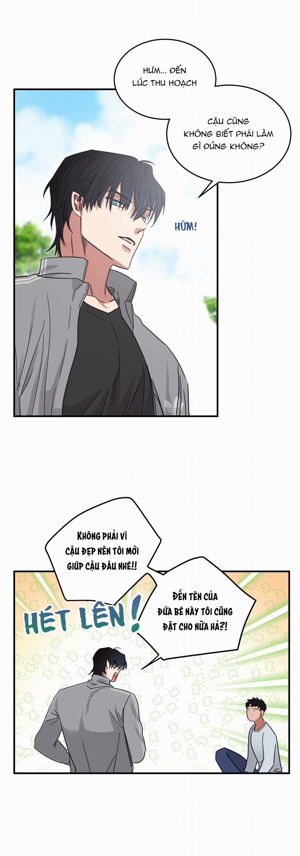 Ngôi Nhà Mặt Trời Mọc 4 trang 22