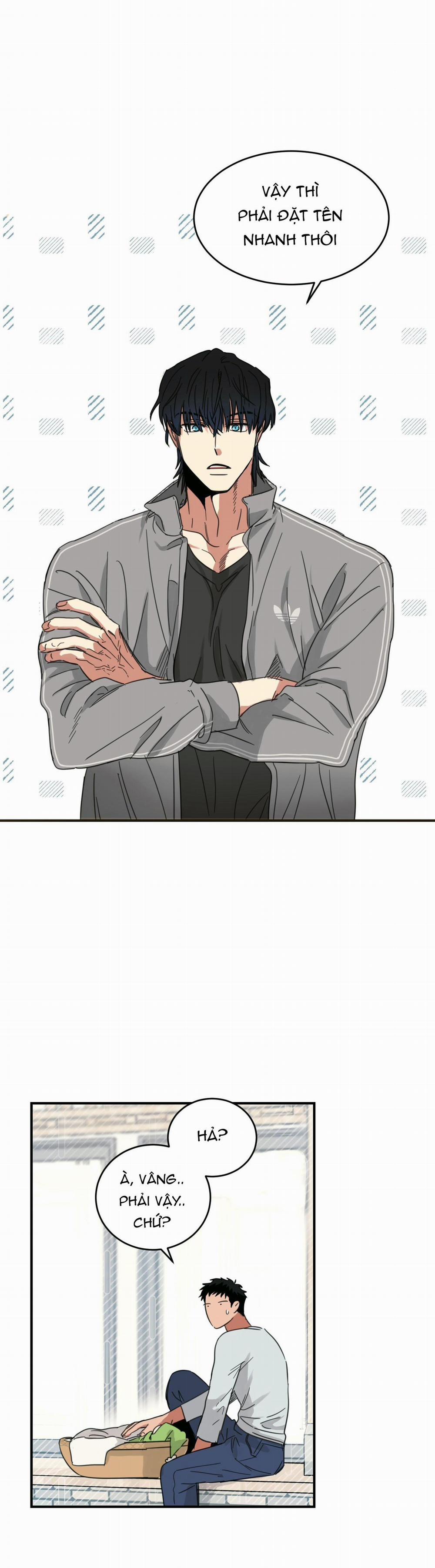 Ngôi Nhà Mặt Trời Mọc 4 trang 5