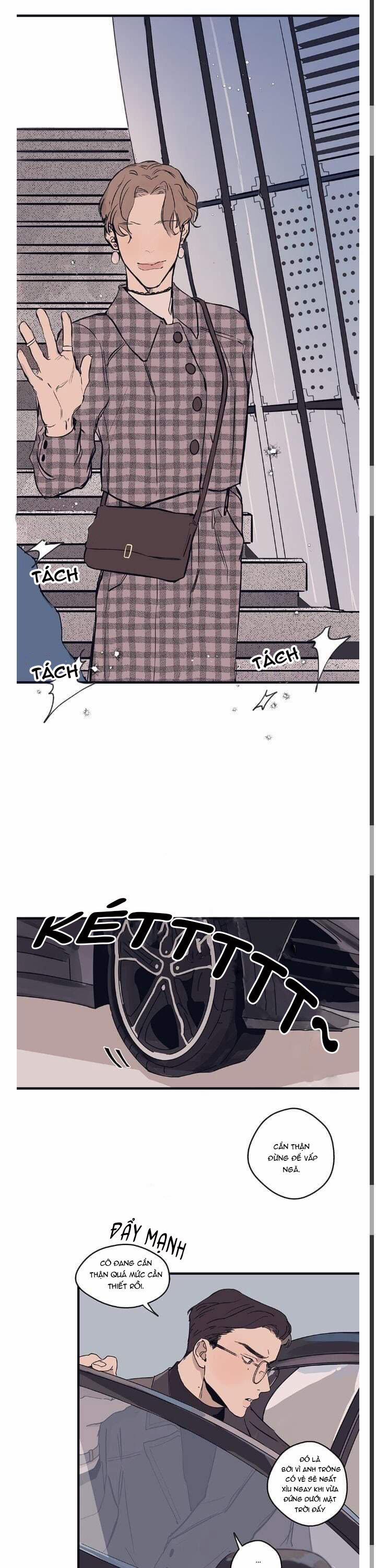 Ngôi Sao Trên Sàn Diễn 1 trang 11