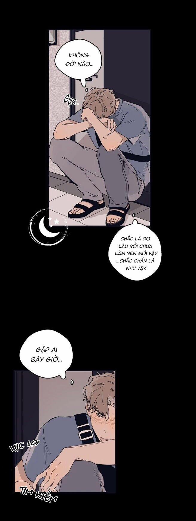 Ngôi Sao Trên Sàn Diễn 10 trang 2