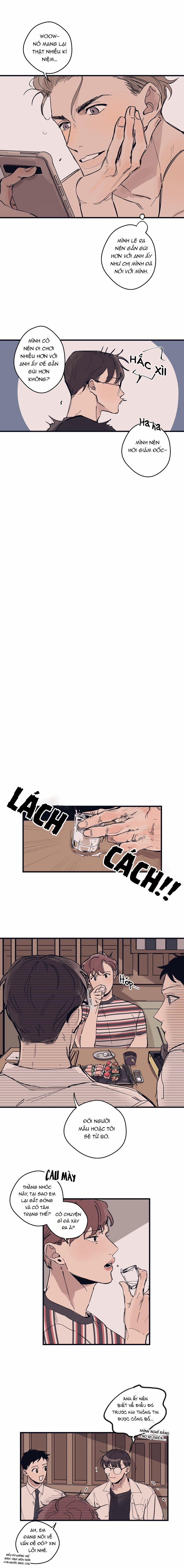 Ngôi Sao Trên Sàn Diễn 5 trang 0