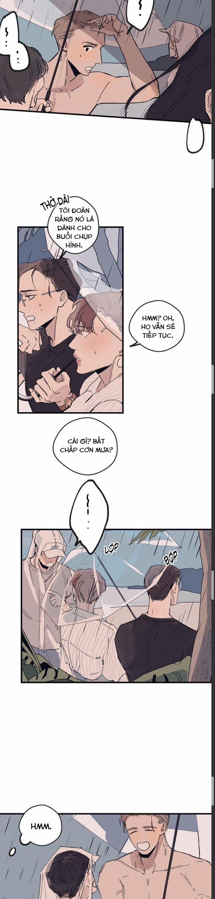 Ngôi Sao Trên Sàn Diễn 6 trang 10