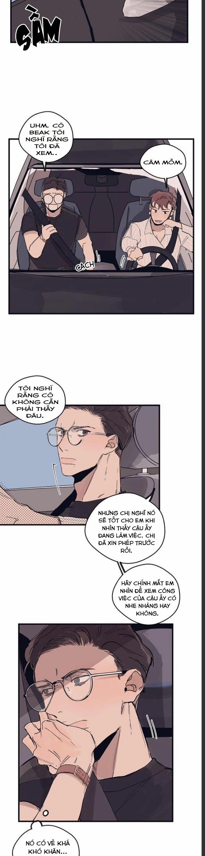 Ngôi Sao Trên Sàn Diễn 6 trang 2