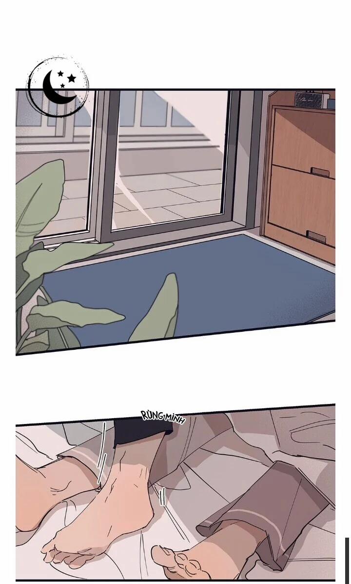 Ngôi Sao Trên Sàn Diễn 8 trang 0