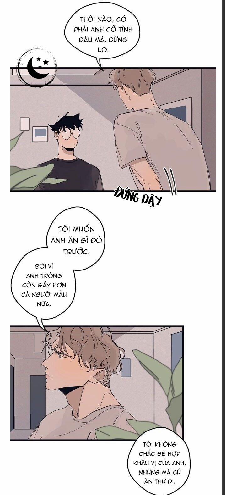 Ngôi Sao Trên Sàn Diễn 8 trang 10