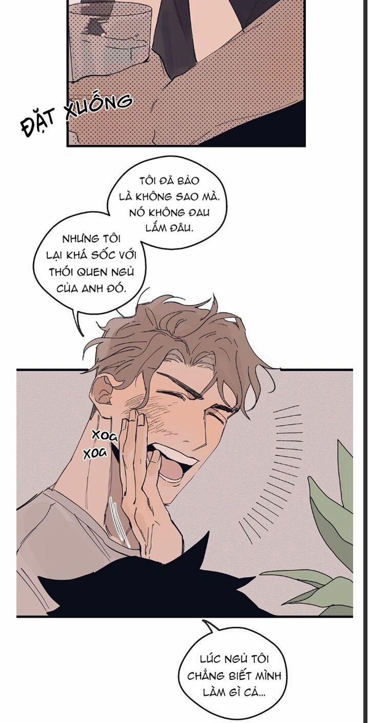 Ngôi Sao Trên Sàn Diễn 8 trang 9