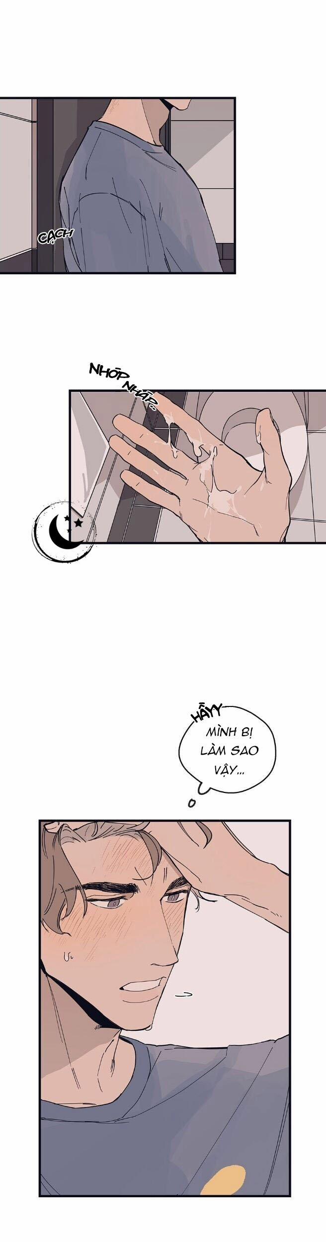 Ngôi Sao Trên Sàn Diễn 9 trang 0