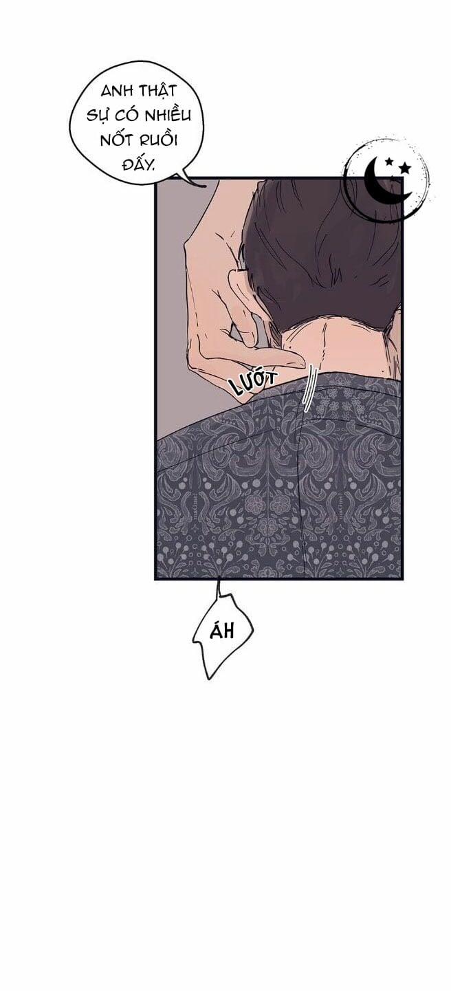 Ngôi Sao Trên Sàn Diễn 9 trang 15