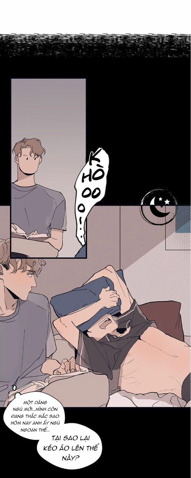 Ngôi Sao Trên Sàn Diễn 9 trang 5