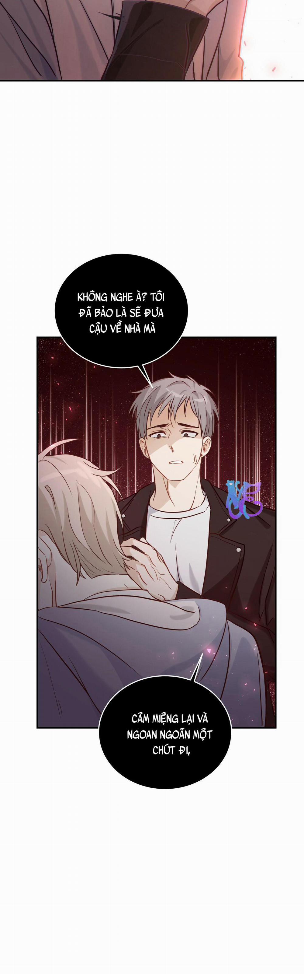 NGỌT NGÀO NÀY ĐỀU LÀ THẬT SAO? 1 trang 13