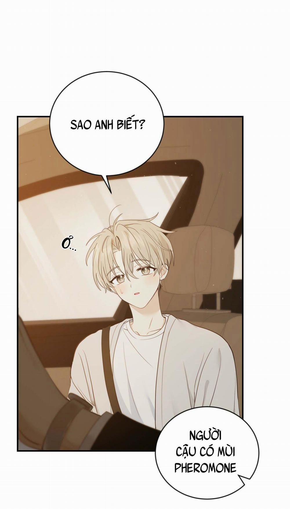 NGỌT NGÀO NÀY ĐỀU LÀ THẬT SAO? 10 NGANG RAW trang 4