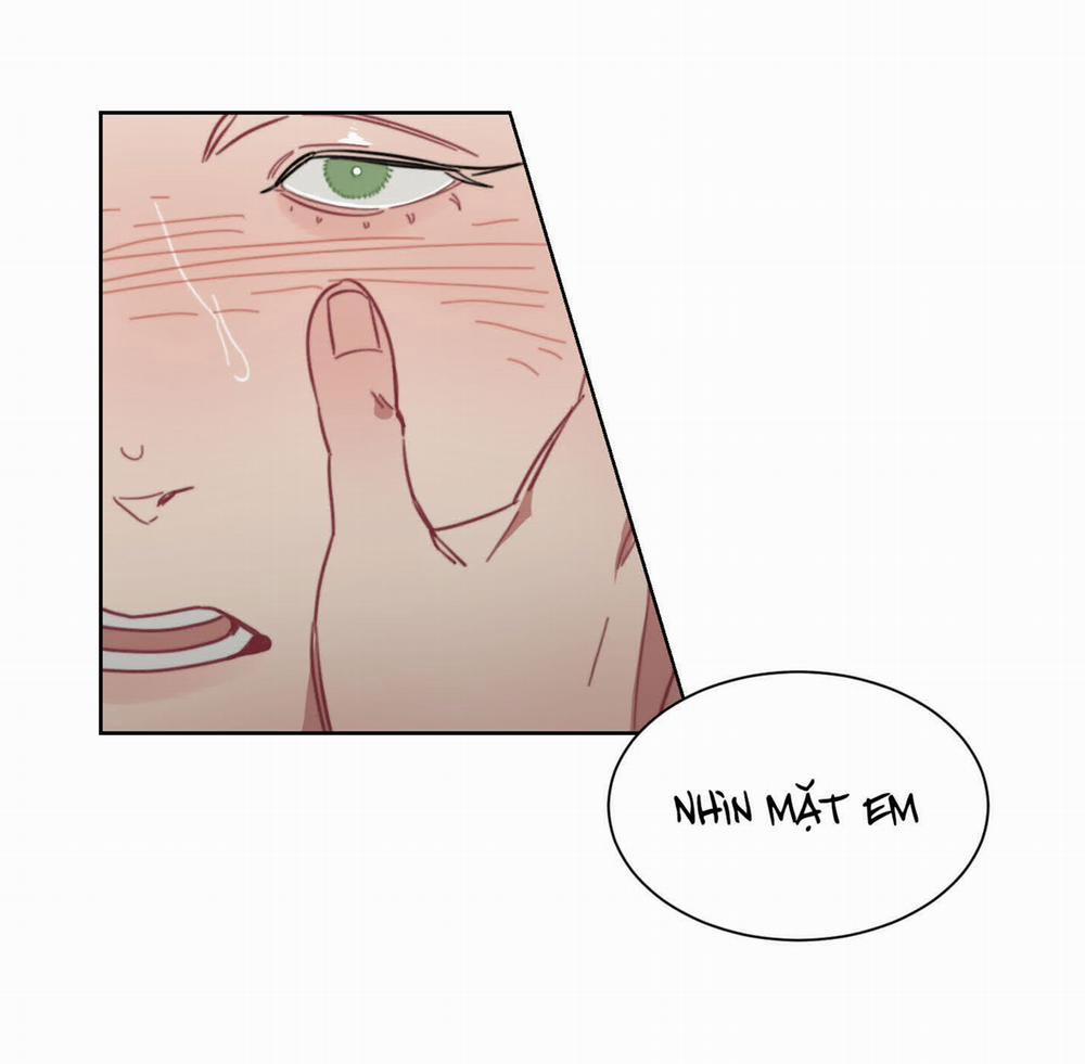 Ngọt Ngào Và Lạnh Lùng 5.1 trang 15